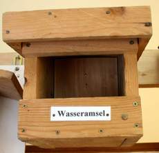 Nistkasten-Wasseramsel.jpg